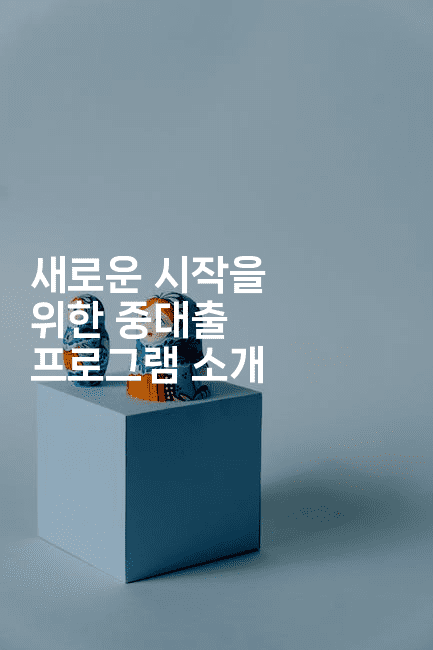 새로운 시작을 위한 중대출 프로그램 소개-코코타이