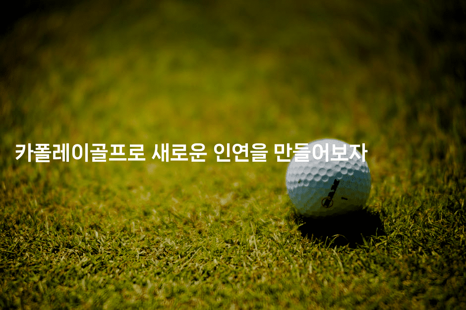 카폴레이골프로 새로운 인연을 만들어보자-코코타이