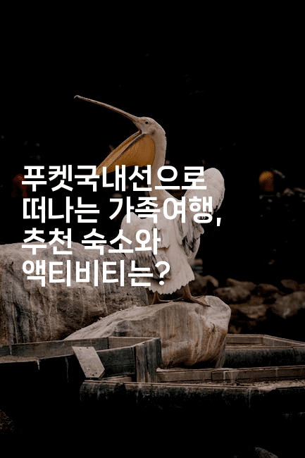 푸켓국내선으로 떠나는 가족여행, 추천 숙소와 액티비티는?2-코코타이