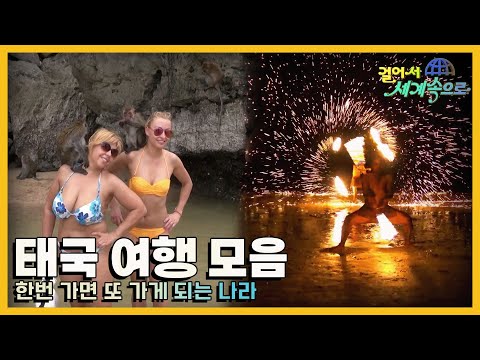 [#걸어서세계속으로] 저렴한 물가와 다양한 볼거리가 있는 여행자들의 천국 '태국 여행' 모음집 (KBS방송)