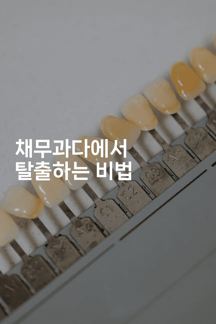 채무과다에서 탈출하는 비법-코코타이