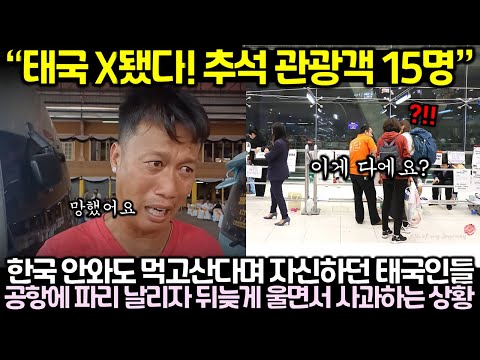 (속보) 태국 X됐다! 추석 관광객 15명! 한국 안와도 먹고산다며 자신하던 태국인들 공항에 파리 날리자 뒤늦게 울면서 사과하는 상황