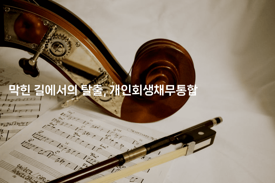 막힌 길에서의 탈출, 개인회생채무통합-코코타이