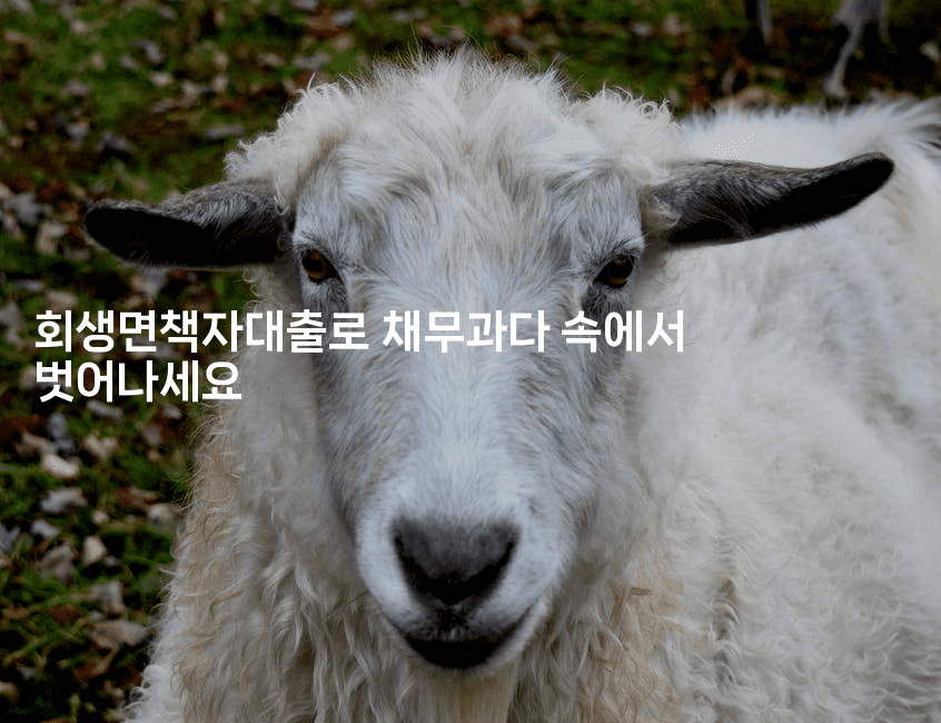 회생면책자대출로 채무과다 속에서 벗어나세요