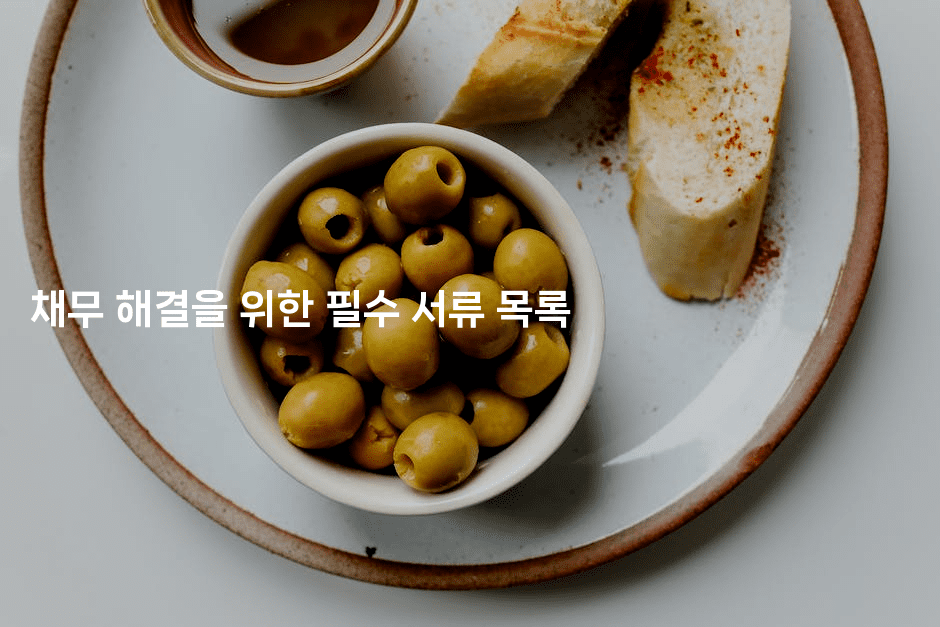 채무 해결을 위한 필수 서류 목록