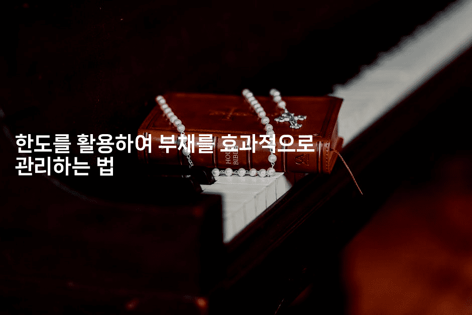 한도를 활용하여 부채를 효과적으로 관리하는 법-코코타이