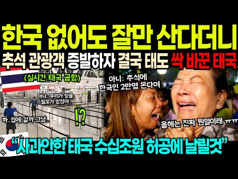 [해외감동사연] 한국 없어도 잘만 산다더니? 태국에 추석 관광객 싹 사라지자 결국 태도가 싹 바뀌었다는데