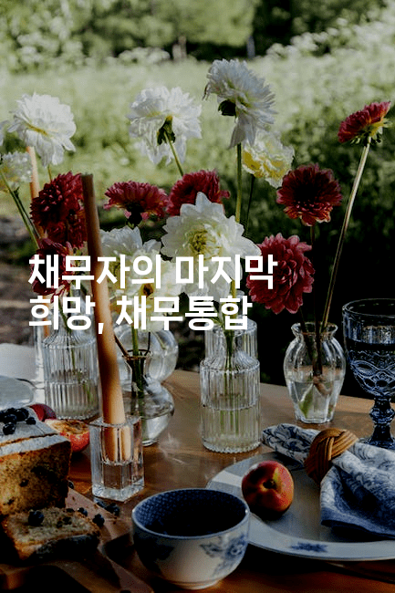 채무자의 마지막 희망, 채무통합-코코타이